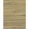 Winfield Thybony Wallpaper Corenwall Wheat WIW2559.WT.0