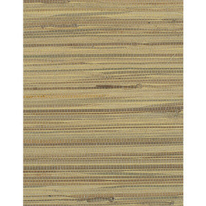 Winfield Thybony Wallpaper Corenwall Wheat WIW2559.WT.0