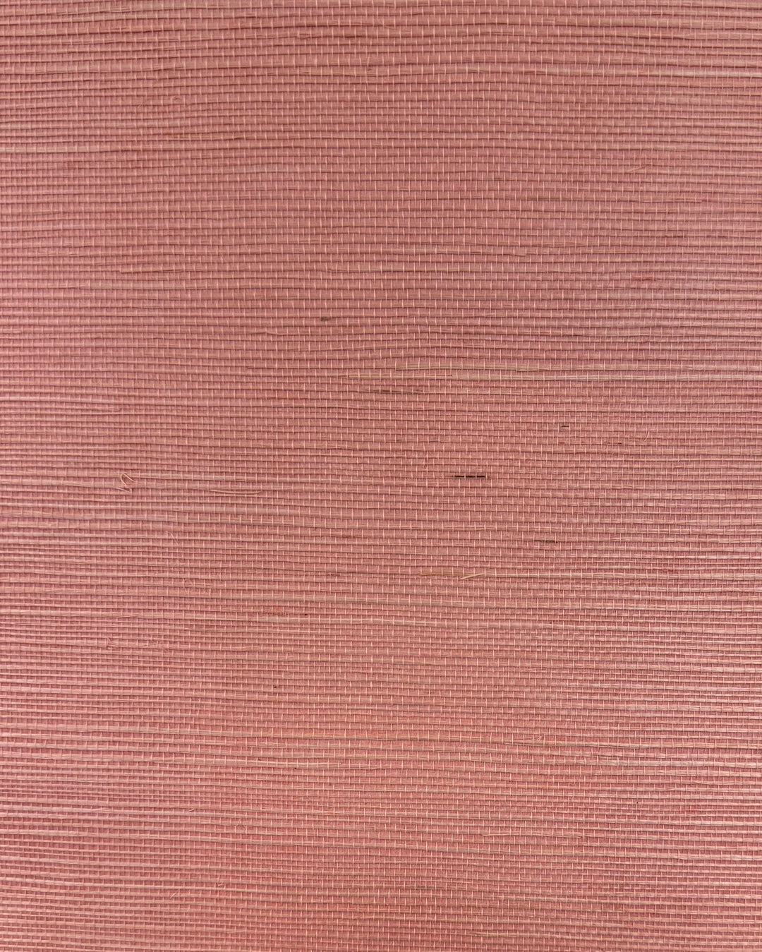 Winfield Thybony Wallcovering Petal Pink