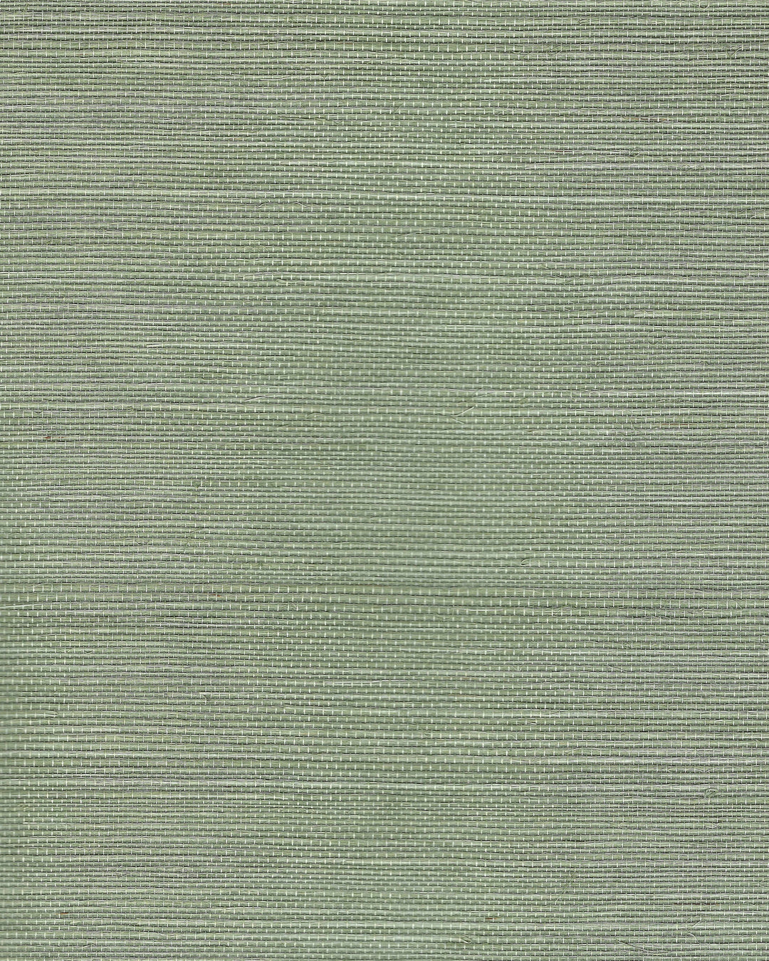 Winfield Thybony Wallcovering Sprig