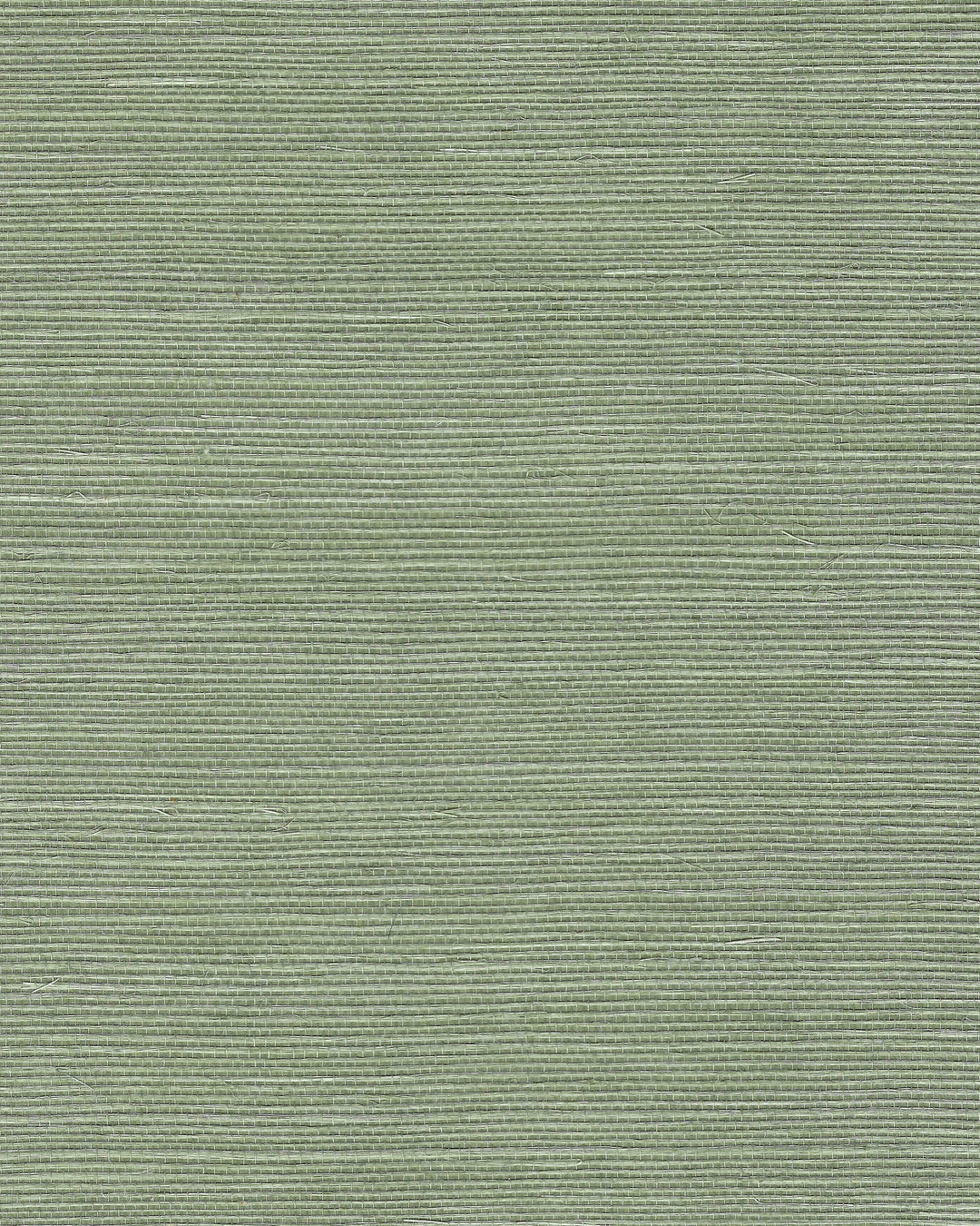 Winfield Thybony Wallcovering Sage