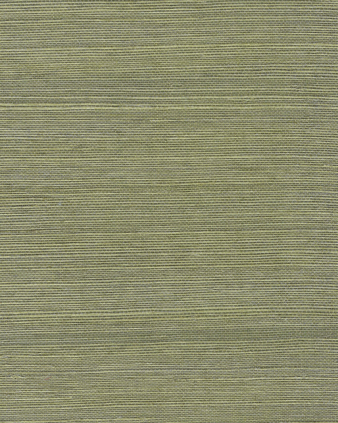 Winfield Thybony Wallcovering Moss
