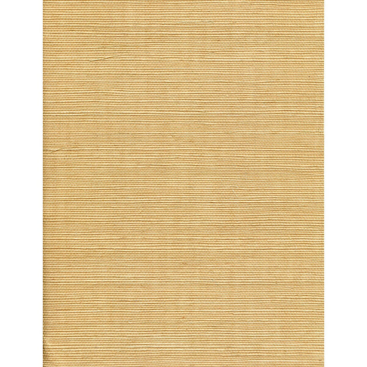 Solo Sisal Haystack by Winfield Thybony Wallcovering Winfield Thybony Wallcovering Solo Sisal HaystackWallcovering WINFIELD THYBONY SISAL - 100% United States </p><p>Repeat: H: 0, V: 0 36 - Fabric Carolina -
