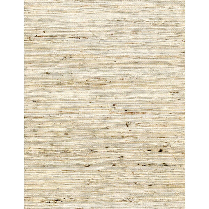 Concerto Tusk by Winfield Thybony Designer Wallcovering WINFIELD THYBONY ARROWROOT - 100% United States - Horizontal: 0 and Vertical: 0 36 - Swanky Fabrics -