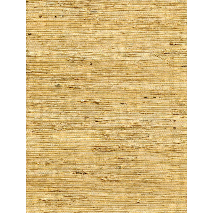 Concerto Saffron by Winfield Thybony Wallcovering Winfield Thybony Wallcovering Concerto SaffronWallcovering WINFIELD THYBONY ARROWROOT - 100% United States </p><p>Repeat: H: 0, V: 0 36 - Fabric Carolina -