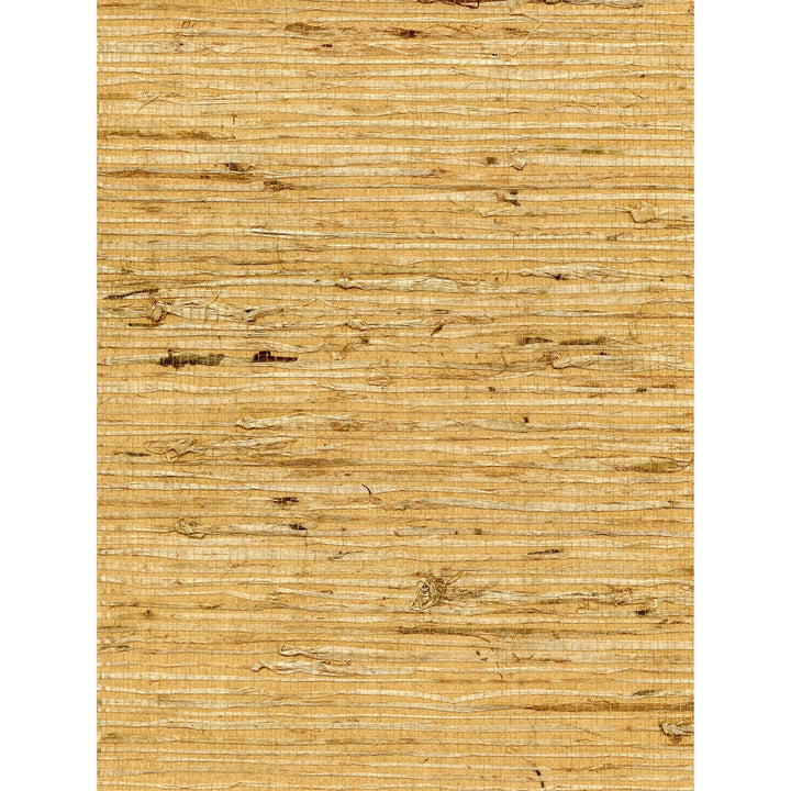 Concerto Ochre by Winfield Thybony Wallcovering Winfield Thybony Wallcovering Concerto OchreWallcovering WINFIELD THYBONY ARROWROOT - 100% United States </p><p>Repeat: H: 0, V: 0 36 - Fabric Carolina -