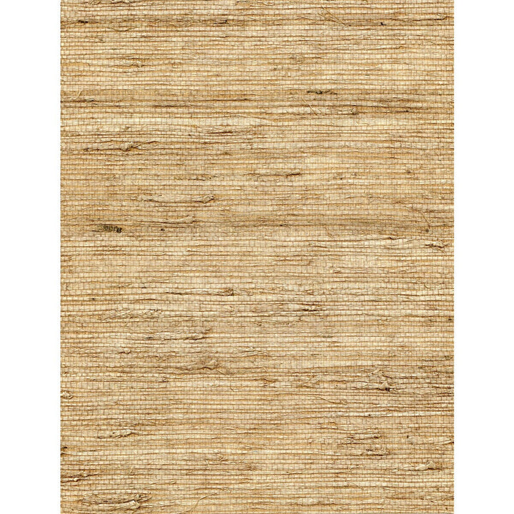 Concerto Latte by Winfield Thybony Designer Wallcovering WINFIELD THYBONY ARROWROOT - 100% United States - Horizontal: 0 and Vertical: 0 36 - Swanky Fabrics -