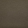 Kravet Fabric Woolf Etruscan WOOLF.106.0