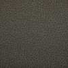 Kravet Fabric Woolf Hawk WOOLF.1121.0