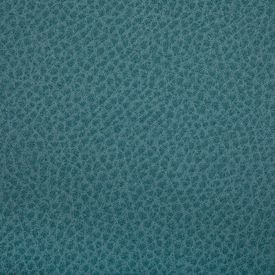Kravet Contract - Upholstery - WOOLF.113.0 - Upholstery - POLYURETHANE - 95%;SILICONE - 5% - Taiwan </p><p>Repeat: H: , V: 27.5 21 - My Fabric Connection -