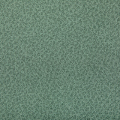 Kravet Contract - Upholstery - WOOLF.130.0 - Upholstery - POLYURETHANE - 95%;SILICONE - 5% - Taiwan </p><p>Repeat: H: , V: 27.5 21 - My Fabric Connection -