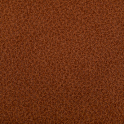 Kravet Contract - Upholstery - WOOLF.24.0 - Upholstery - POLYURETHANE - 95%;SILICONE - 5% - Taiwan </p><p>Repeat: H: , V: 27.5 21 - My Fabric Connection -