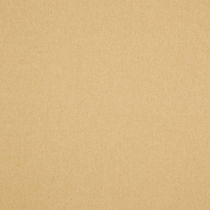 Woolsley 15J8171 by JF Designer Fabric Renegade Fibreguard 100% Polyester China 135000 Horizontal: and Vertical: 57 - Swanky Fabrics -