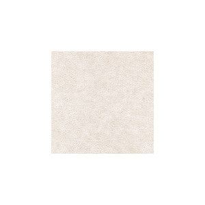 Winfield Thybony Wallpaper Enduring Desert