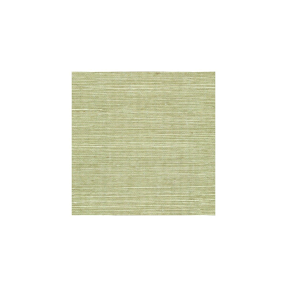 Sisal Fern by Winfield Thybony Wallcovering Winfield Thybony Wallcovering Sisal FernWallcovering WINFIELD THYBONY SIMPLY SISAL PAPER - 100% China </p><p>Repeat: H: , V: 36 - Fabric Carolina -