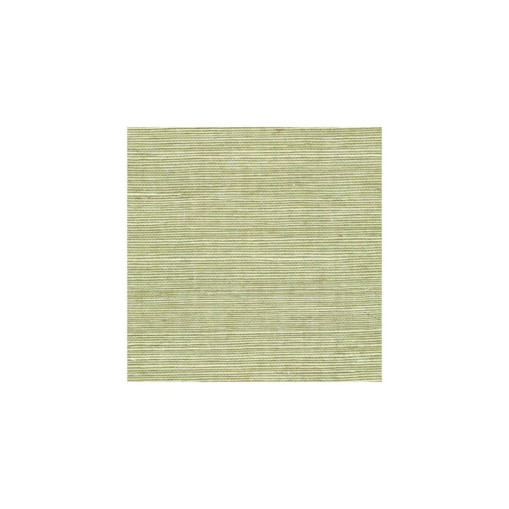 Sisal Fern by Winfield Thybony Wallcovering Winfield Thybony Wallcovering Sisal FernWallcovering WINFIELD THYBONY SIMPLY SISAL PAPER - 100% China </p><p>Repeat: H: , V: 36 - Fabric Carolina -