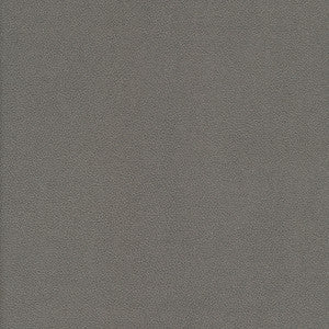 Maxwell Fabric Yucatan-Nj # 806 Aluminum