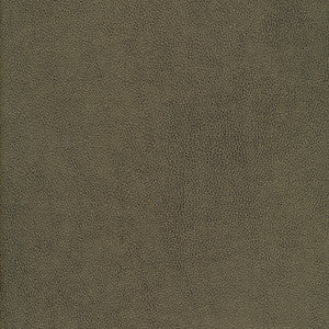 Maxwell Fabric Yucatan-Nj # 810 Brush