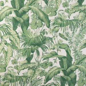 Kravet Fabric Yasuni Verde YASUNI.3.0