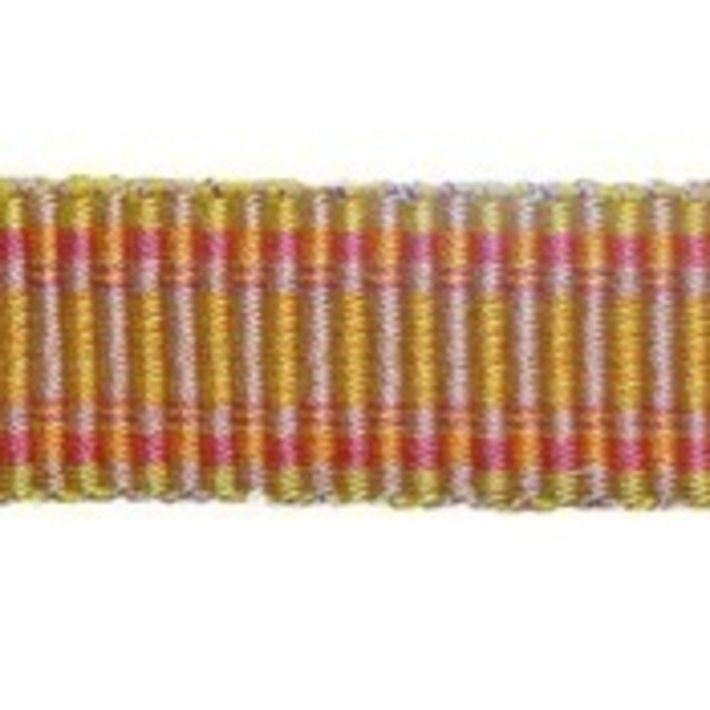 Yessi Pumpink by Europatex Designer Fabric Club House 100% Polyester 1.00 inches - Swanky Fabrics -