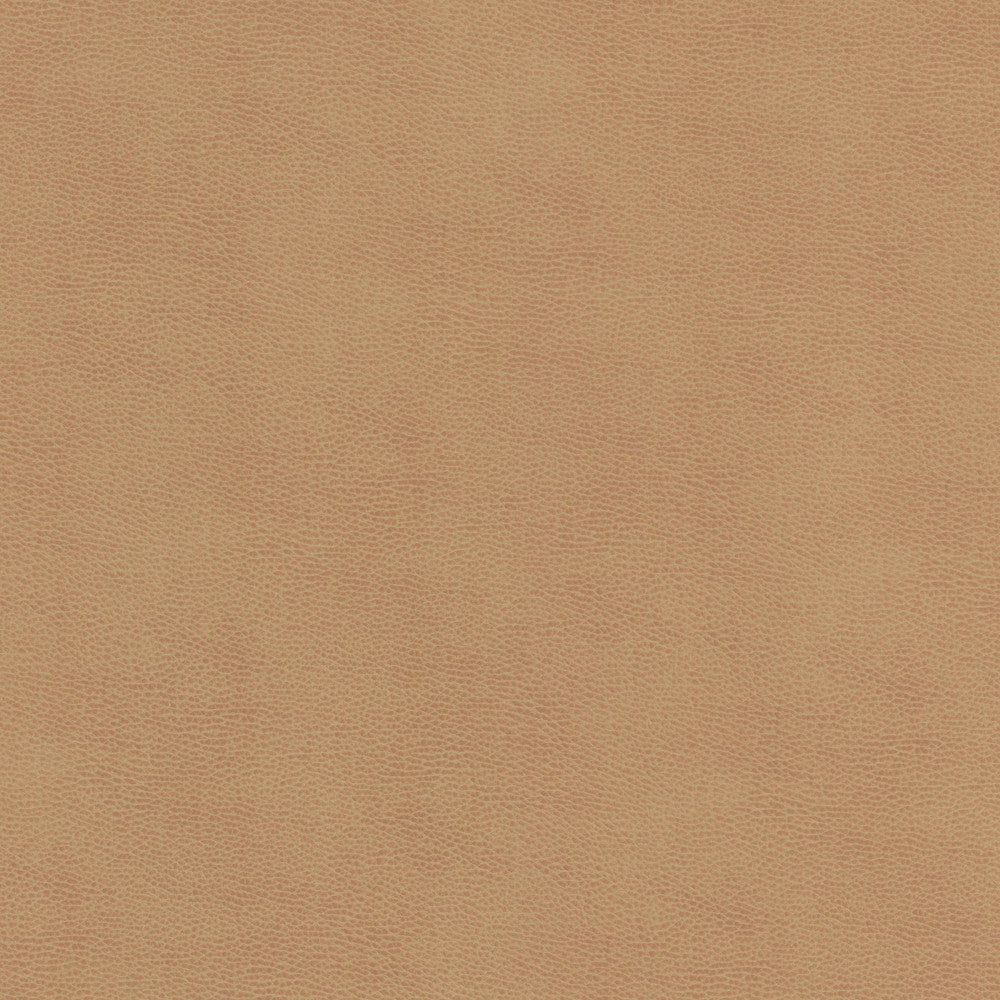Ziemba 1 Lion by Stout Fabric Stout Fabric Ziemba 1 LionFabric LEATHER LOOKS V 100%POU 1%OTH KOREA </p><p>Repeat: H: 0.000, V: 0.000 54 in - Fabric Carolina -
