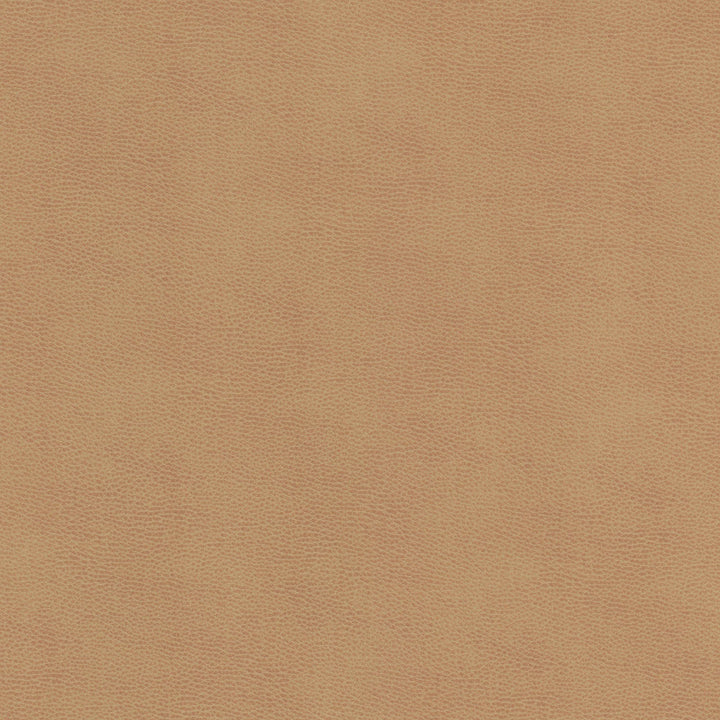 Ziemba 1 Lion by Stout Fabric Stout Fabric Ziemba 1 LionFabric LEATHER LOOKS V 100%POU 1%OTH KOREA </p><p>Repeat: H: 0.000, V: 0.000 54 in - Fabric Carolina -