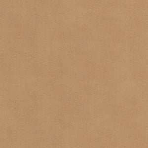 Stout Fabric Ziemba 1 Lion