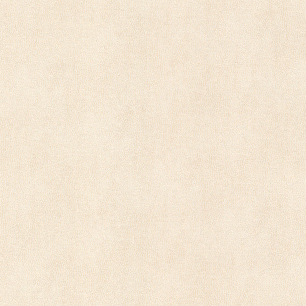 Ziemba 2 Oyster by Stout Fabric Stout Fabric Ziemba 2 OysterFabric LEATHER LOOKS V 100%POU 1%OTH KOREA </p><p>Repeat: H: 0.000, V: 0.000 54 in - Fabric Carolina -