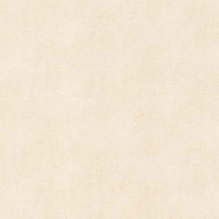 Ziemba 2 Oyster by Stout Fabric Stout Fabric Ziemba 2 OysterFabric LEATHER LOOKS V 100%POU 1%OTH KOREA </p><p>Repeat: H: 0.000, V: 0.000 54 in - Fabric Carolina -