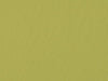 Norbar Fabric Zolic Acid Green 244