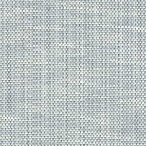 Magnolia Fabric Zook Sky