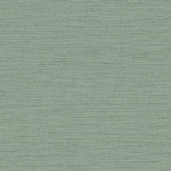 Zurich 1 Glacier by Stout Fabric Stout Fabric Zurich 1 GlacierFabric COLOR MY WINDOW HAZE/SHORELINE 100%POL INDIA </p><p>Repeat: H: 0.000, V: 0.000 54 in - Fabric Carolina -