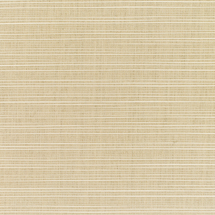 8011 Dupione Sand by Sunbrella Designer Fabric Sunbrella Elements - Dupione Sunbrella® Acrylic, Sunbrella® Polyester, Sunbrella® Non-Phthalate PVC USA or Imported 5-Year Horizontal: and Vertical: 60 yd. 54 in. - Swanky Fabrics -