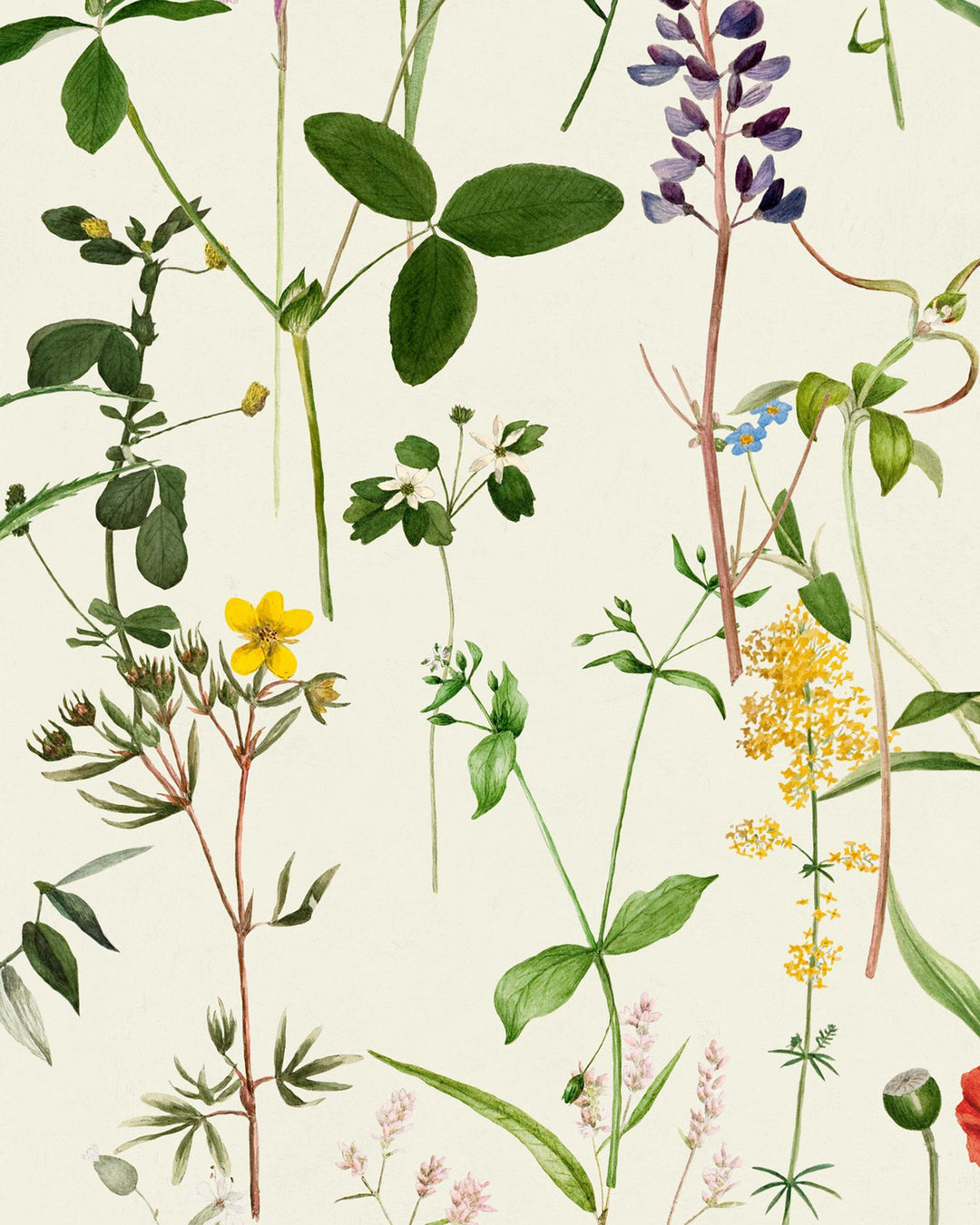 Aquafleur wallpaper by Mind the Gap (WP20175), swatch