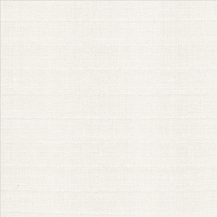 Abalone Ivory by Kasmir Designer Fabric 1449 86% Polyester
14% Viscose
 INDIA 98,000 Martindale Cycles </p><p>Repeat: Horizontal: N/A and Vertical: N/A 55 - Swanky Fabrics -