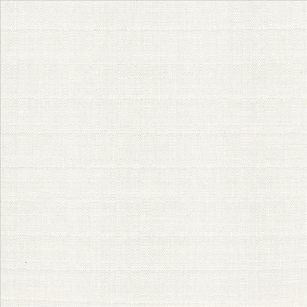 Abalone Ivory by Kasmir Designer Fabric 1449 86% Polyester 14% Viscose INDIA 98,000 Martindale Cycles Horizontal: 0 Inches and Vertical: 0 Inches 55 - Swanky Fabrics -