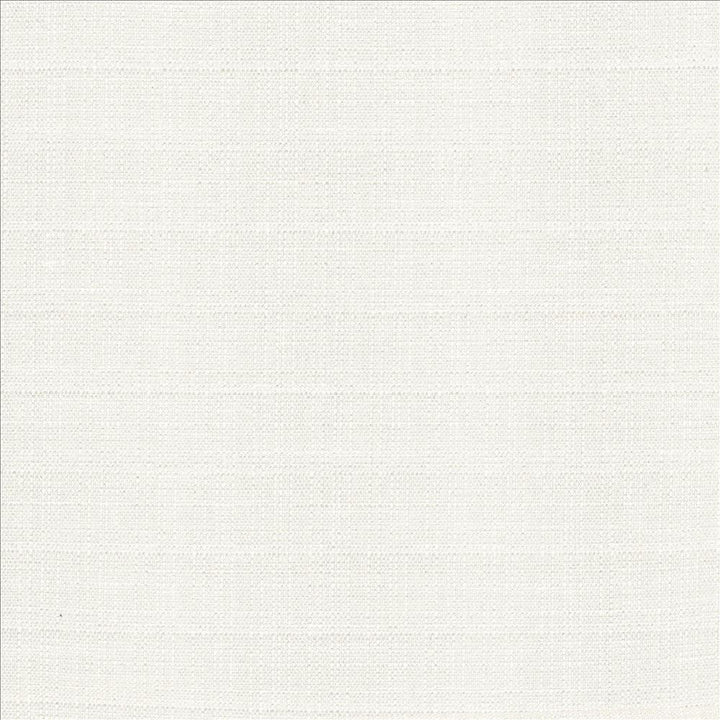 Abalone Ivory by Kasmir Designer Fabric See sample 86% Polyester
14% Viscose
 INDIA 98,000 Martindale Cycles </p><p>Repeat: Horizontal: N/A and Vertical: N/A 55 - Swanky Fabrics -