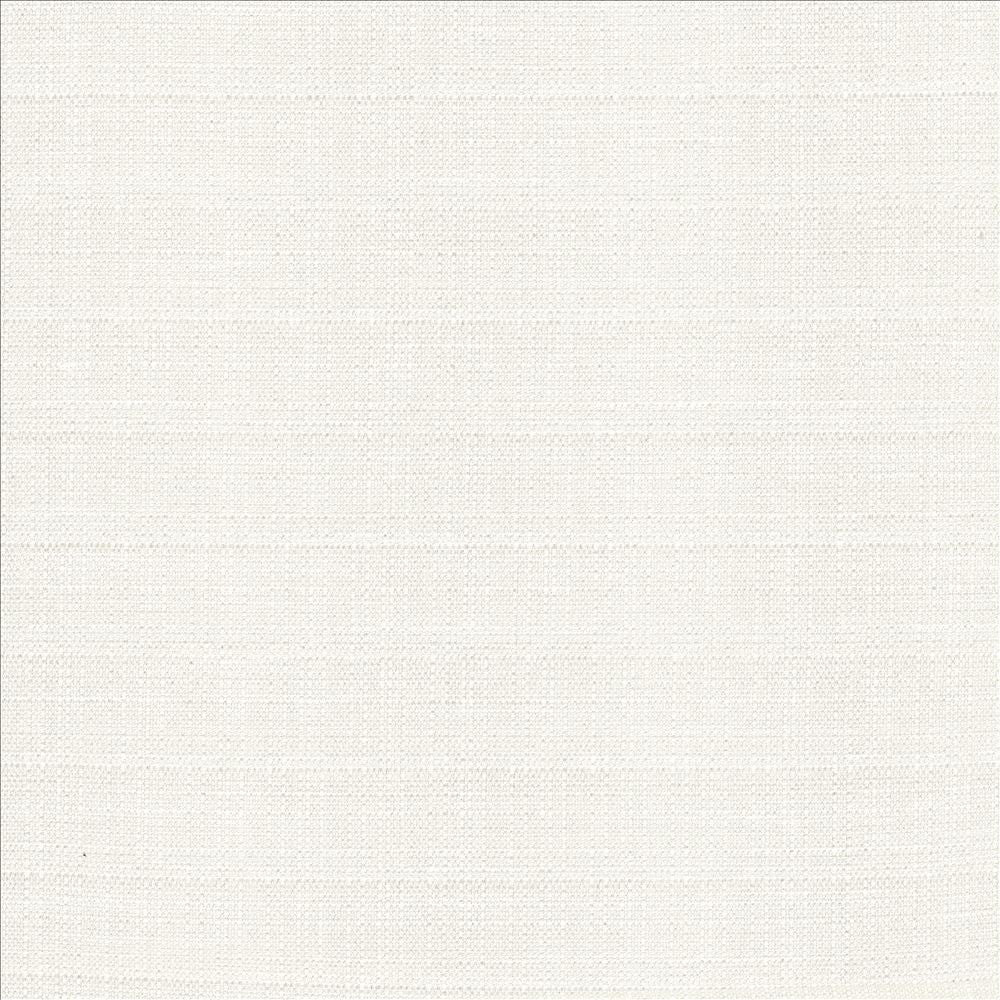 Abalone Ivory by Kasmir Designer Fabric 1449 86% Polyester
14% Viscose
 INDIA 98,000 Martindale Cycles </p><p>Repeat: Horizontal: N/A and Vertical: N/A 55 - Swanky Fabrics -