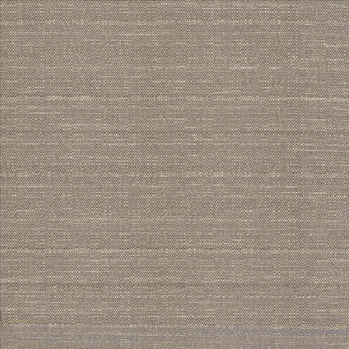 Abalone Mist  by Kasmir Designer Fabric 1449 86% Polyester
14% Viscose
 INDIA 98,000 Martindale Cycles Horizontal: N/A and Vertical: N/A 55  - Swanky Fabrics -