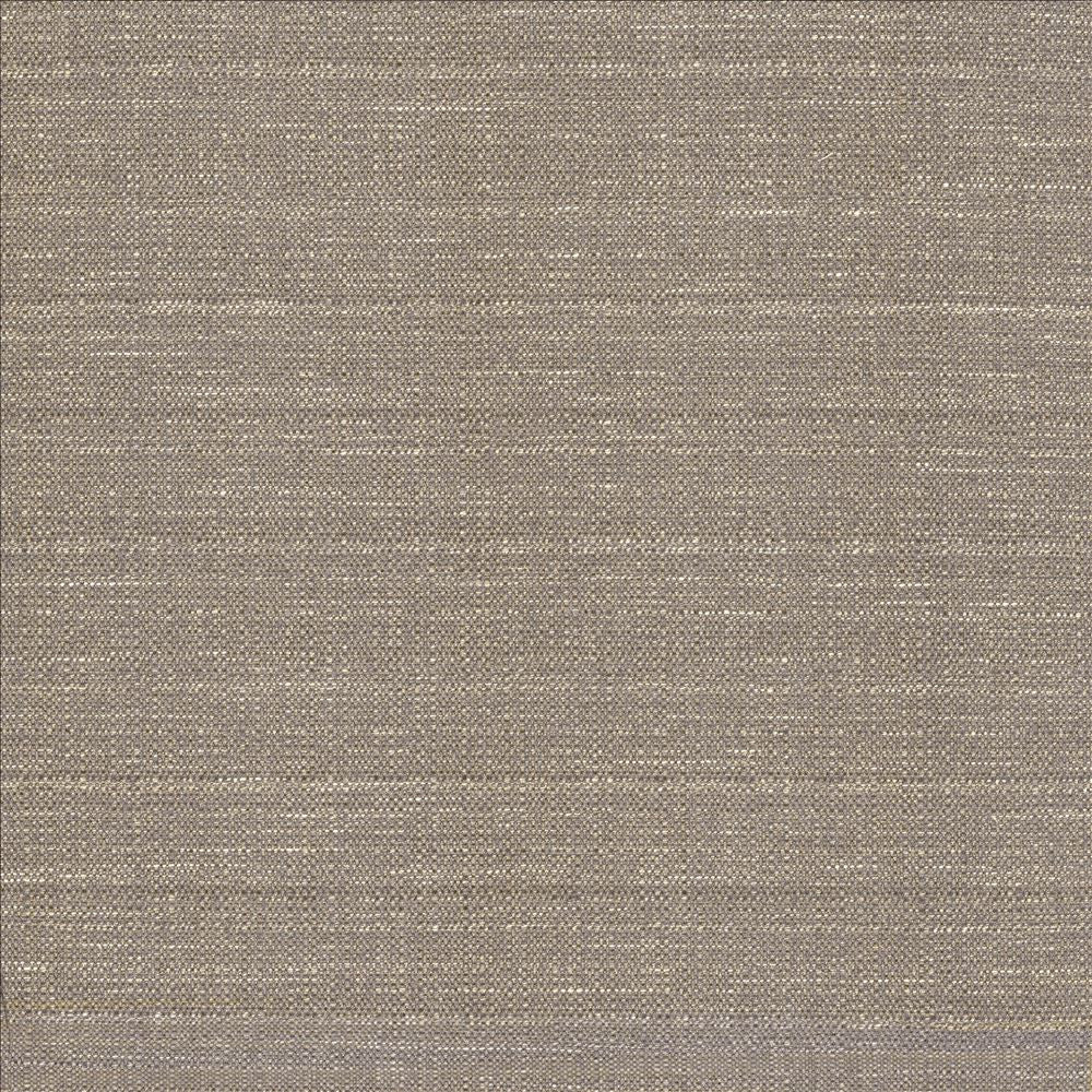 Abalone Mist by Kasmir Designer Fabric 1449 86% Polyester 14% Viscose INDIA 98,000 Martindale Cycles Horizontal: 0 Inches and Vertical: 0 Inches 55 - Swanky Fabrics -