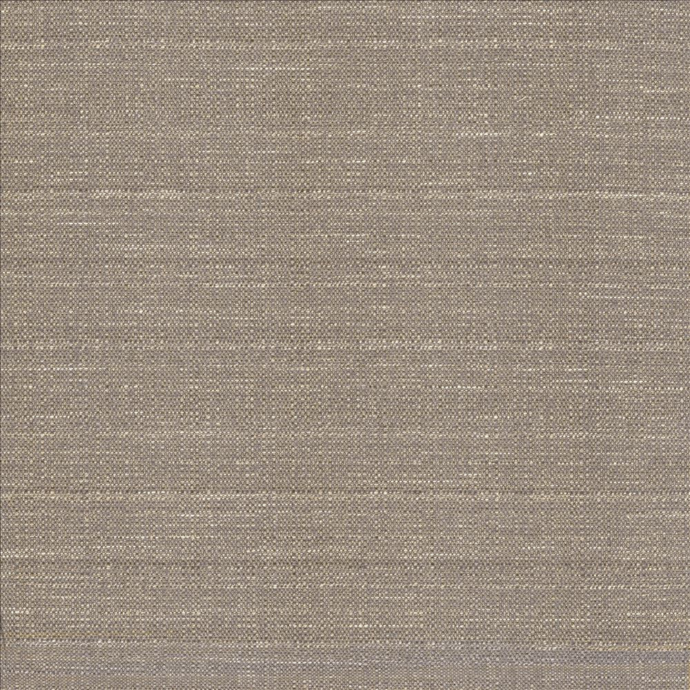 Abalone Mist by Kasmir Designer Fabric 1449 86% Polyester
14% Viscose
 INDIA 98,000 Martindale Cycles </p><p>Repeat: Horizontal: N/A and Vertical: N/A 55 - Swanky Fabrics -