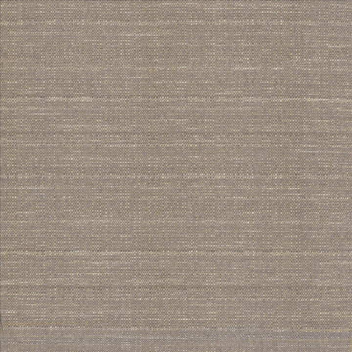 Abalone Mist by Kasmir Designer Fabric 1449 86% Polyester
14% Viscose
 INDIA 98,000 Martindale Cycles </p><p>Repeat: Horizontal: N/A and Vertical: N/A 55 - Swanky Fabrics -