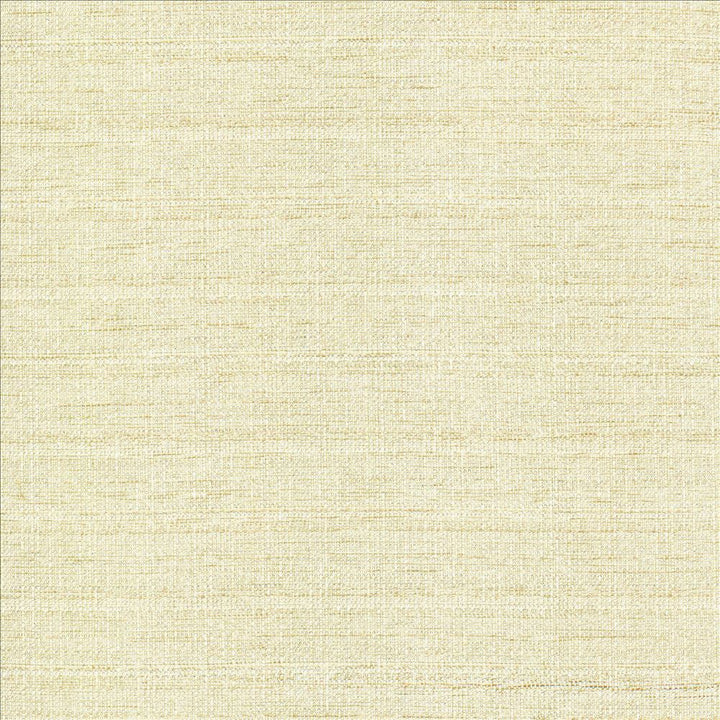 Abalone Opal by Kasmir Designer Fabric 1449 86% Polyester
14% Viscose
 INDIA 98,000 Martindale Cycles </p><p>Repeat: Horizontal: N/A and Vertical: N/A 55 - Swanky Fabrics -