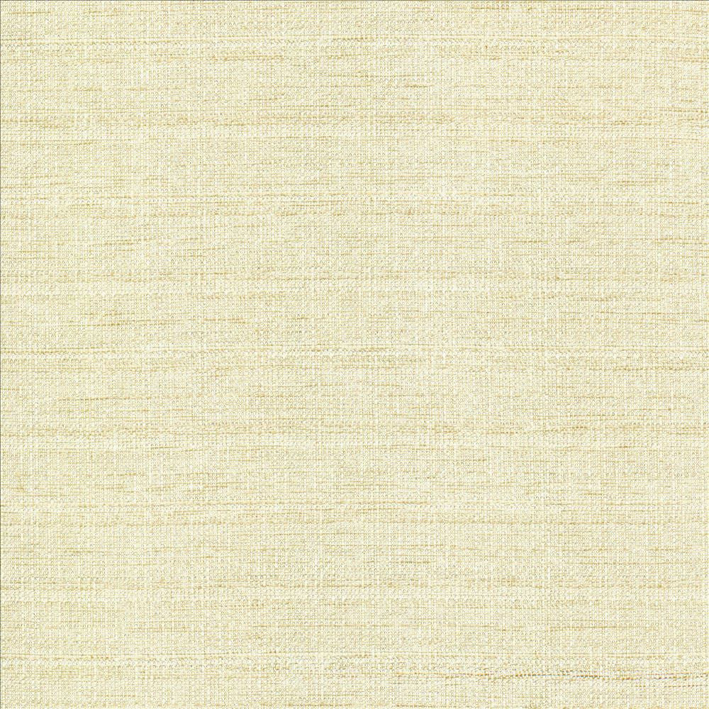 Abalone Opal by Kasmir Designer Fabric 1449 86% Polyester
14% Viscose
 INDIA 98,000 Martindale Cycles </p><p>Repeat: Horizontal: N/A and Vertical: N/A 55 - Swanky Fabrics -