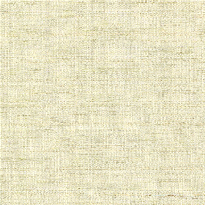 Abalone Opal by Kasmir Designer Fabric 1449 86% Polyester
14% Viscose
 INDIA 98,000 Martindale Cycles </p><p>Repeat: Horizontal: N/A and Vertical: N/A 55 - Swanky Fabrics -