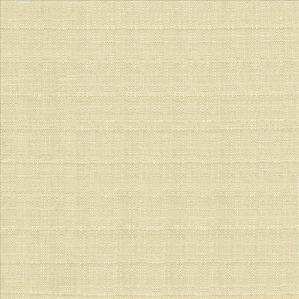 Abalone Oyster  by Kasmir Designer Fabric 1449 86% Polyester
14% Viscose
 INDIA 98,000 Martindale Cycles Horizontal: N/A and Vertical: N/A 55  - Swanky Fabrics -