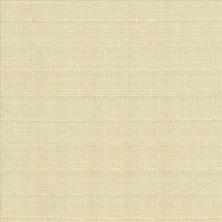 Abalone Oyster by Kasmir Designer Fabric 1449 86% Polyester
14% Viscose
 INDIA 98,000 Martindale Cycles </p><p>Repeat: Horizontal: N/A and Vertical: N/A 55 - Swanky Fabrics -
