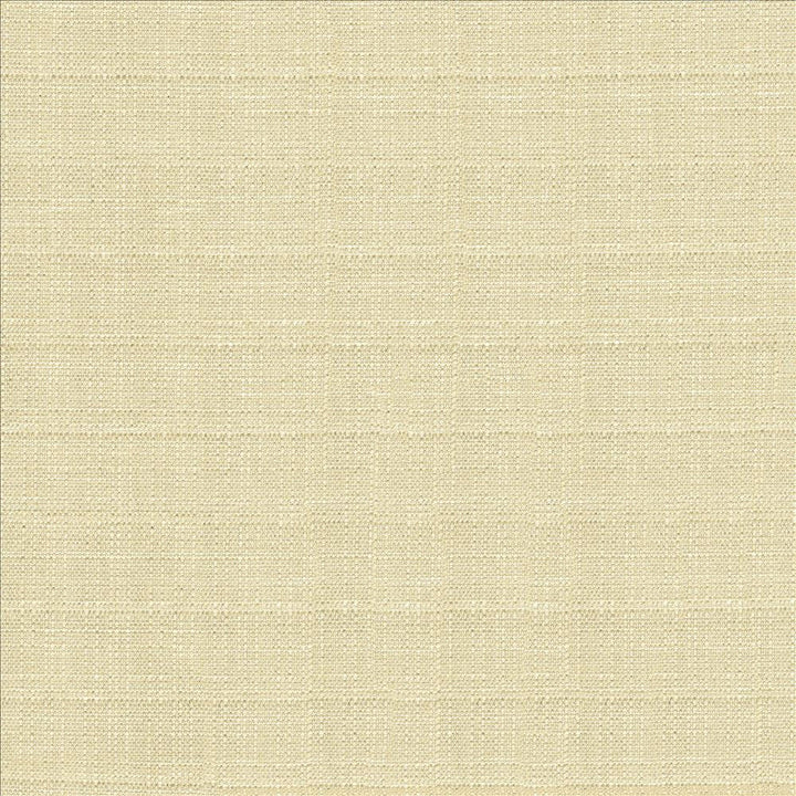 Abalone Oyster by Kasmir Designer Fabric 1449 86% Polyester
14% Viscose
 INDIA 98,000 Martindale Cycles </p><p>Repeat: Horizontal: N/A and Vertical: N/A 55 - Swanky Fabrics -