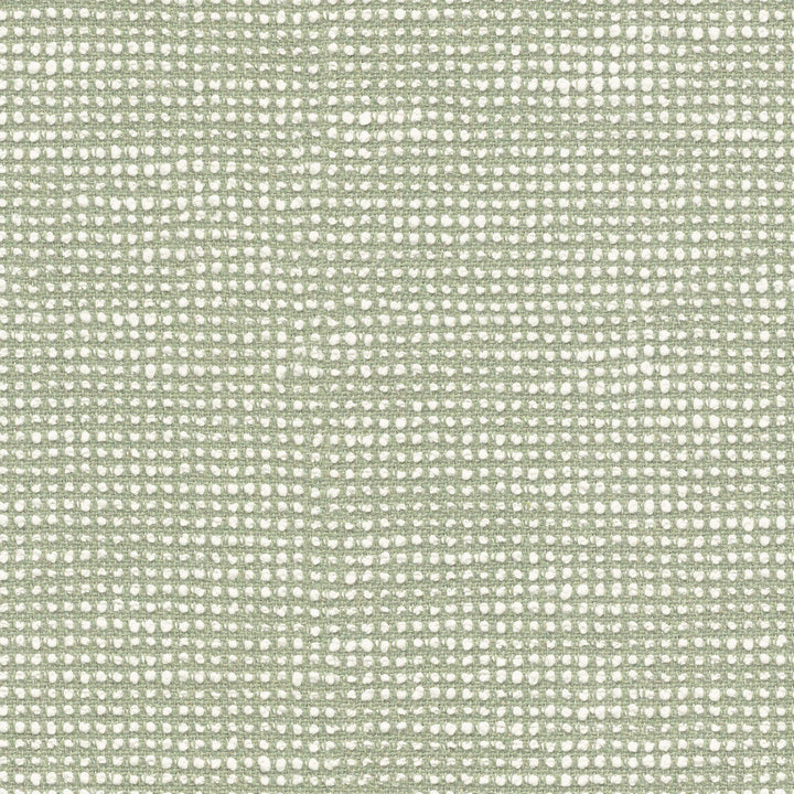 Slow Spirea SLO19107 by Sunbrella European Designer Fabric Sunbrella® Acrylic, Sunbrella® Polyester Horizontal: and Vertical: 55 in. - Swanky Fabrics -