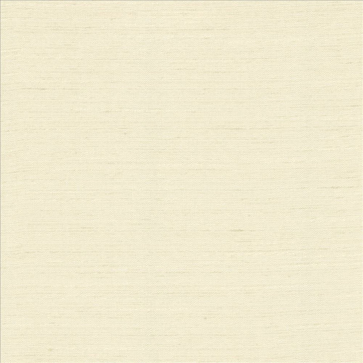 Adjoin Bone by Kasmir Designer Fabric 5170 100% Polyester
 INDIA 5,000 Wyzenbeek Double Rubs </p><p>Repeat: Horizontal: N/A and Vertical: N/A 54 - Swanky Fabrics -